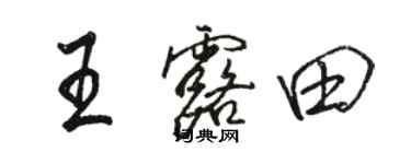 骆恒光王露田行书个性签名怎么写