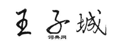 骆恒光王子城行书个性签名怎么写