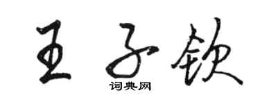 骆恒光王子钦行书个性签名怎么写