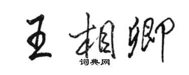 骆恒光王相卿行书个性签名怎么写