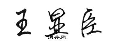 骆恒光王显臣行书个性签名怎么写