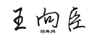 骆恒光王向臣行书个性签名怎么写