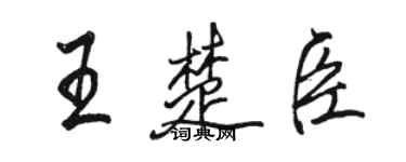 骆恒光王楚臣行书个性签名怎么写