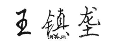 骆恒光王镇垄行书个性签名怎么写