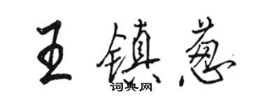 骆恒光王镇葱行书个性签名怎么写