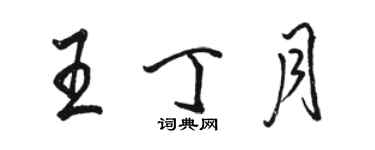 骆恒光王丁月行书个性签名怎么写