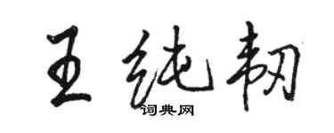 骆恒光王纯韧行书个性签名怎么写
