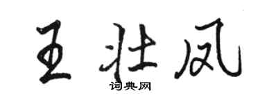 骆恒光王壮凤行书个性签名怎么写