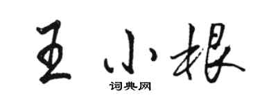 骆恒光王小根行书个性签名怎么写