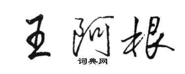 骆恒光王阿根行书个性签名怎么写