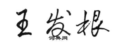 骆恒光王发根行书个性签名怎么写