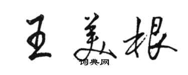 骆恒光王美根行书个性签名怎么写