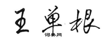 骆恒光王单根行书个性签名怎么写