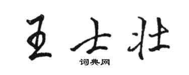 骆恒光王士壮行书个性签名怎么写