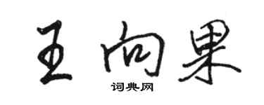 骆恒光王向果行书个性签名怎么写