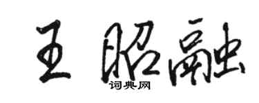 骆恒光王昭融行书个性签名怎么写