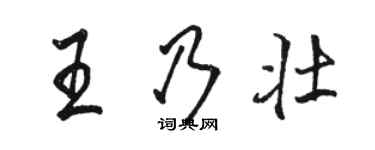 骆恒光王乃壮行书个性签名怎么写