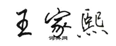 骆恒光王家熙行书个性签名怎么写
