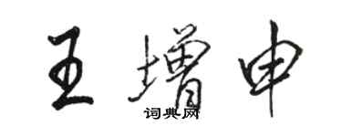 骆恒光王增申行书个性签名怎么写