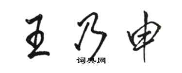 骆恒光王乃申行书个性签名怎么写