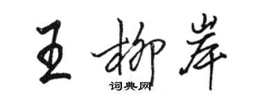 骆恒光王柳岸行书个性签名怎么写