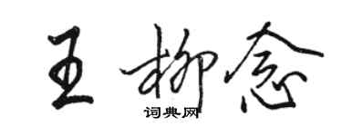 骆恒光王柳念行书个性签名怎么写