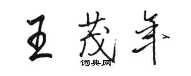 骆恒光王茂年行书个性签名怎么写