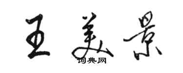 骆恒光王美景行书个性签名怎么写
