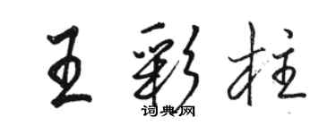 骆恒光王彩柱行书个性签名怎么写