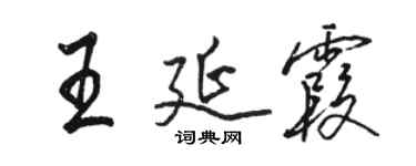 骆恒光王延霞行书个性签名怎么写