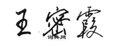骆恒光王密霞行书个性签名怎么写