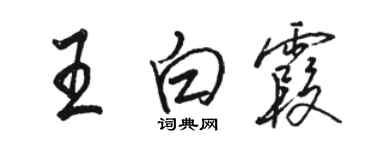 骆恒光王白霞行书个性签名怎么写