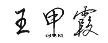 骆恒光王甲霞行书个性签名怎么写