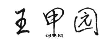 骆恒光王甲园行书个性签名怎么写