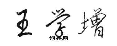 骆恒光王学增行书个性签名怎么写