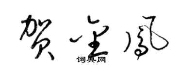 梁锦英贺金凤草书个性签名怎么写