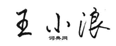 骆恒光王小浪行书个性签名怎么写