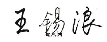 骆恒光王锡浪行书个性签名怎么写