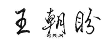 骆恒光王朝盼行书个性签名怎么写