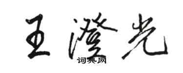 骆恒光王澄光行书个性签名怎么写
