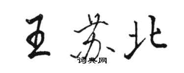 骆恒光王苏北行书个性签名怎么写