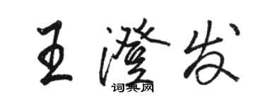 骆恒光王澄发行书个性签名怎么写