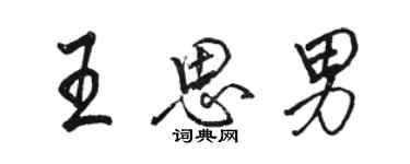 骆恒光王思男行书个性签名怎么写