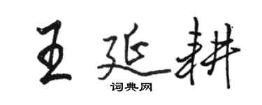 骆恒光王延耕行书个性签名怎么写