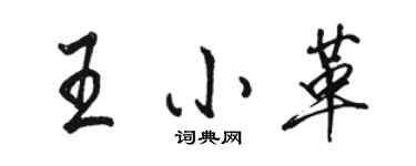 骆恒光王小革行书个性签名怎么写