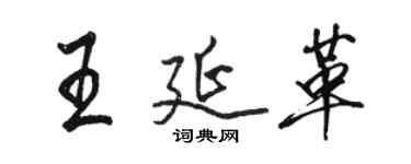 骆恒光王延革行书个性签名怎么写