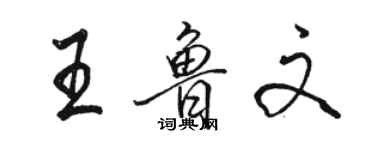 骆恒光王鲁文行书个性签名怎么写