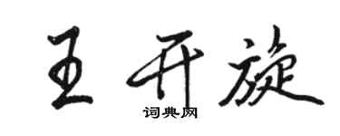 骆恒光王开旋行书个性签名怎么写