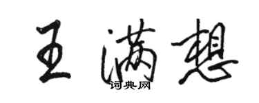 骆恒光王满想行书个性签名怎么写