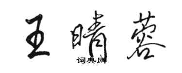 骆恒光王晴蓉行书个性签名怎么写
